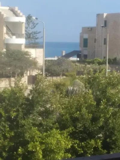 شاطئ أخضر أرضي