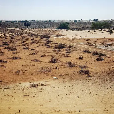 الدور (أم القيوين)